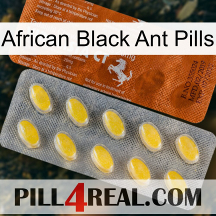 African Black Ant Pills 42